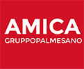 fiat_amica