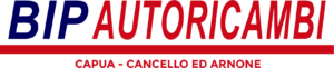 bip autoricambi